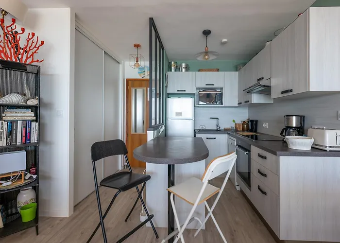 公寓 3* Face A La Avec Balcon Et Cuisine Equipee - Fr-1-197-587 *